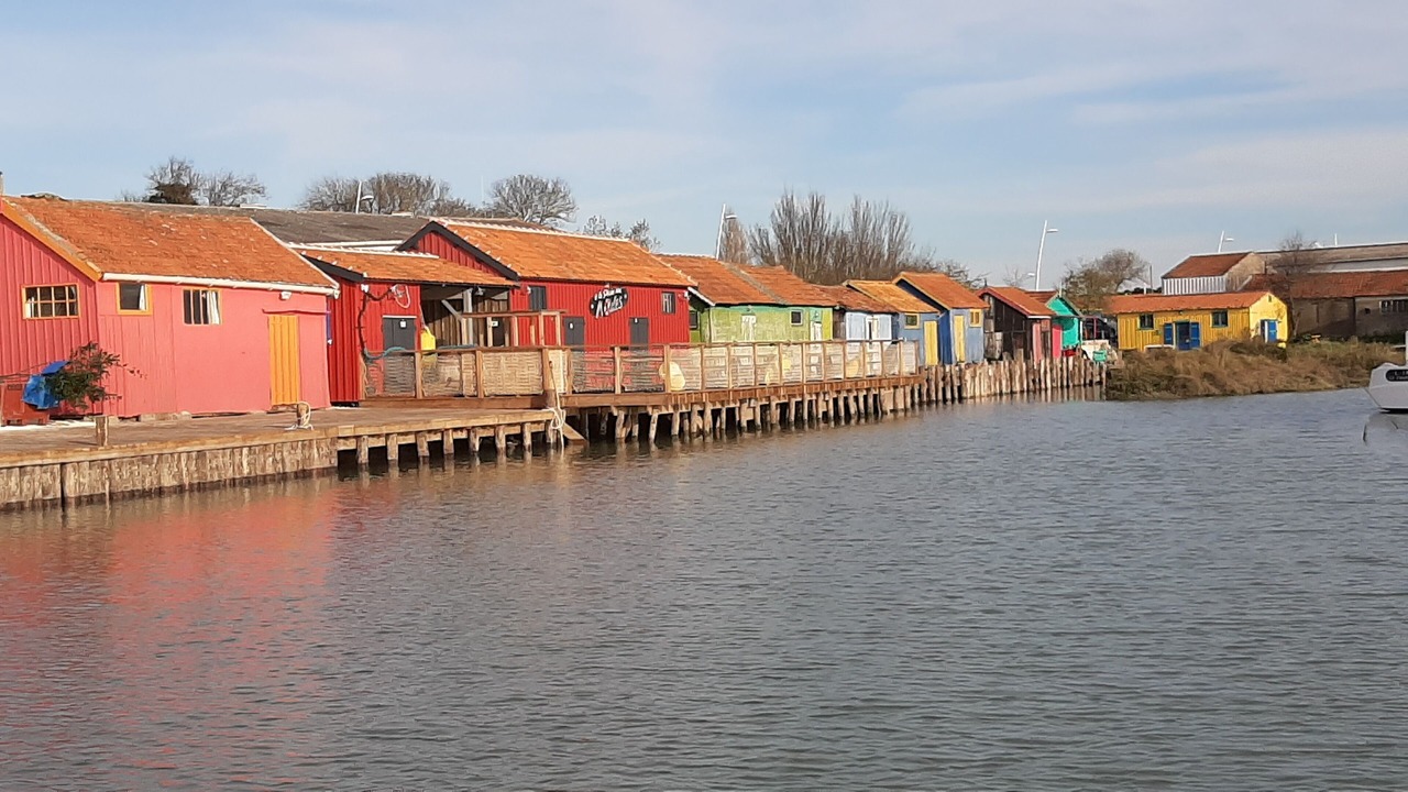 Photo of Outdoor in Marennes