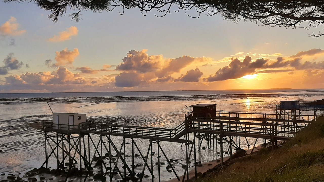 Photo of Outdoor in Marennes