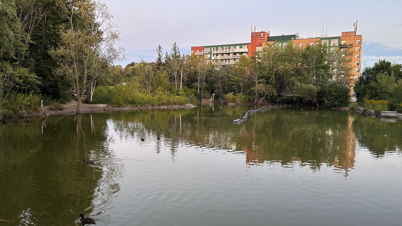 Photo of Others in Richmond Hill