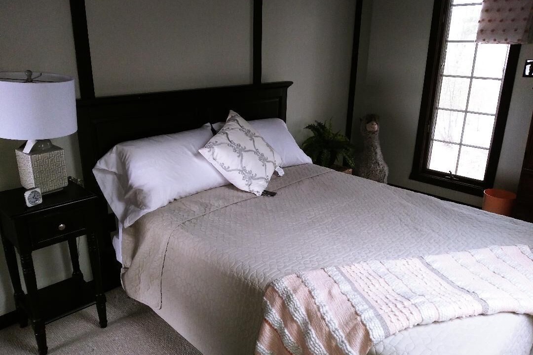 Photo of Bedroom in White Mills