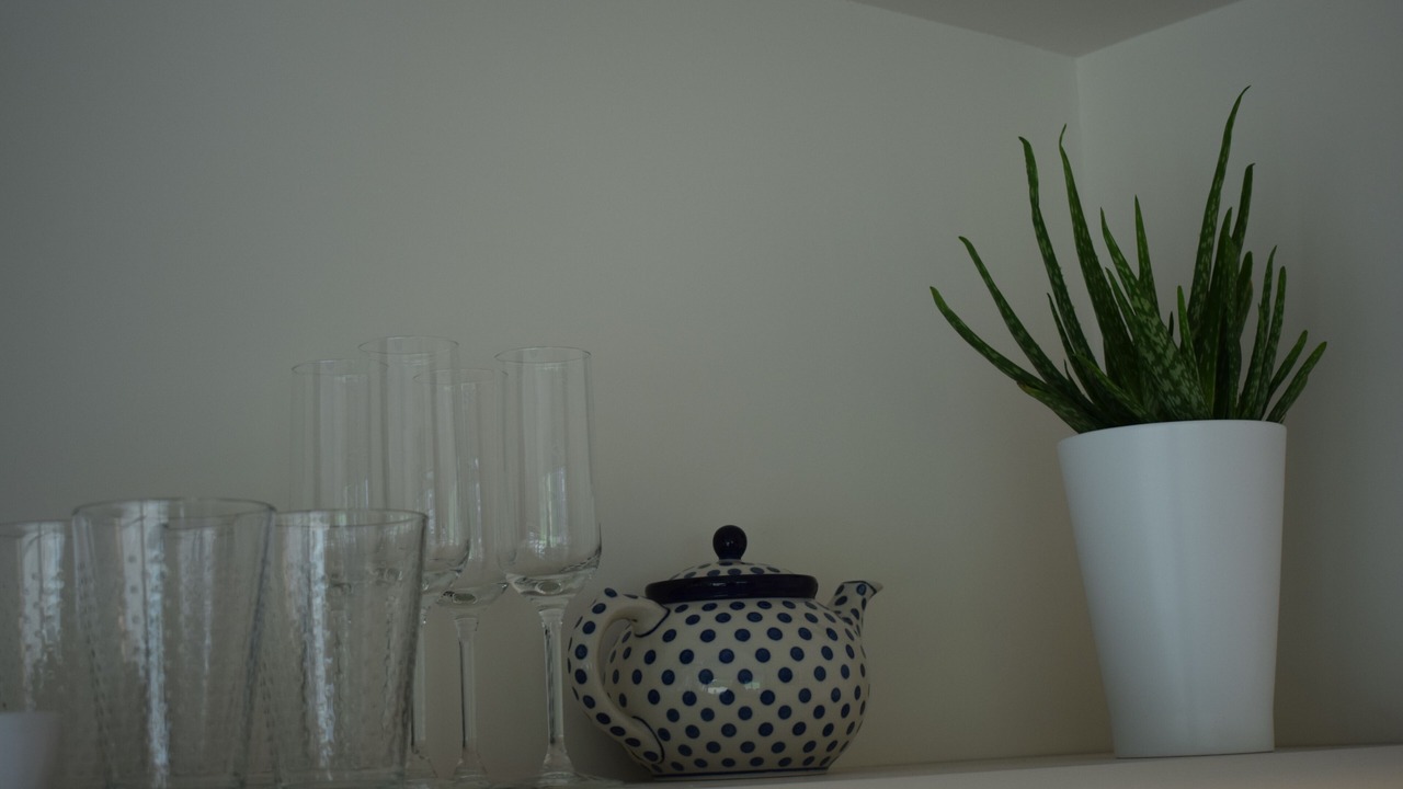 Photo of Others in Wedmore