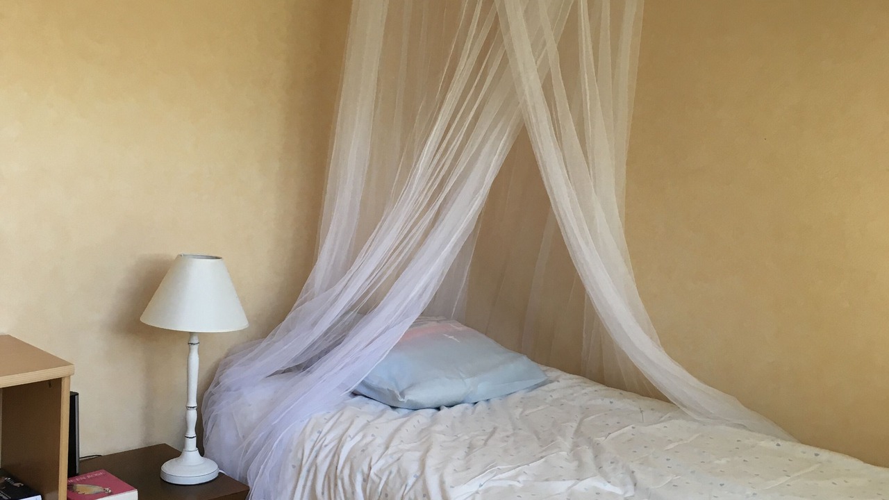 Photo of Bedroom in Annecy-le-Vieux