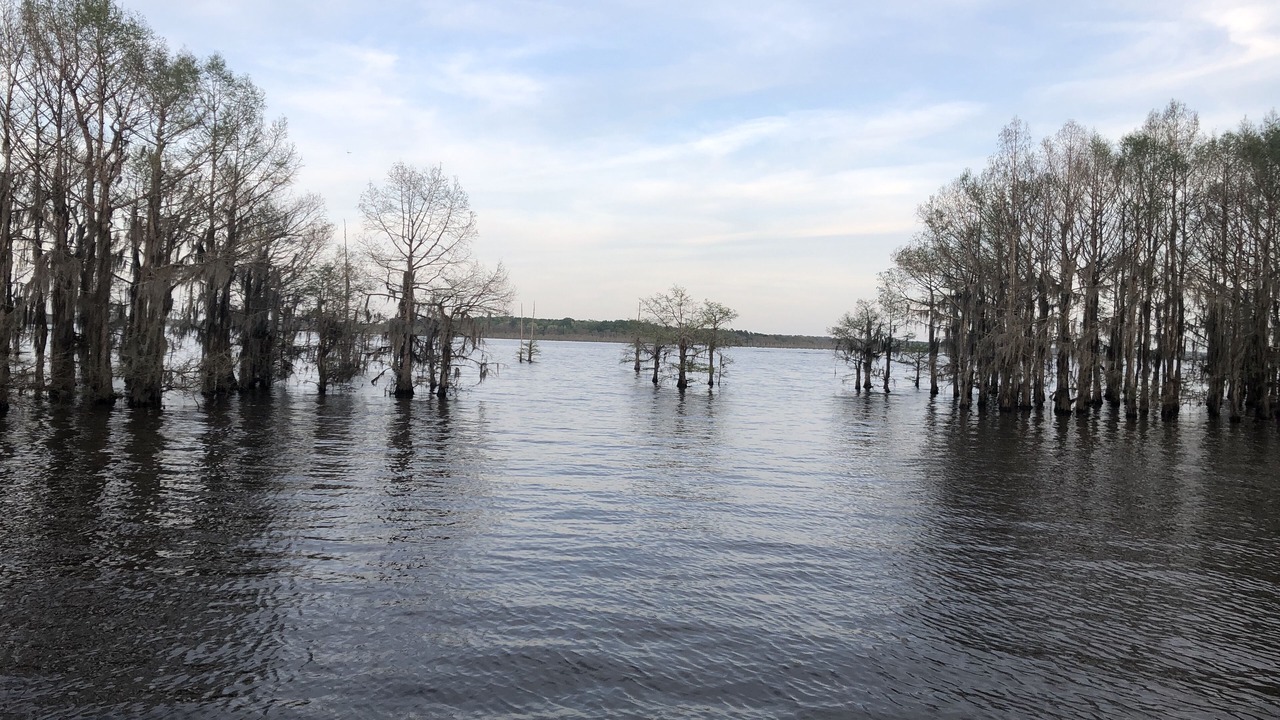 Photo of Outdoor in East Point