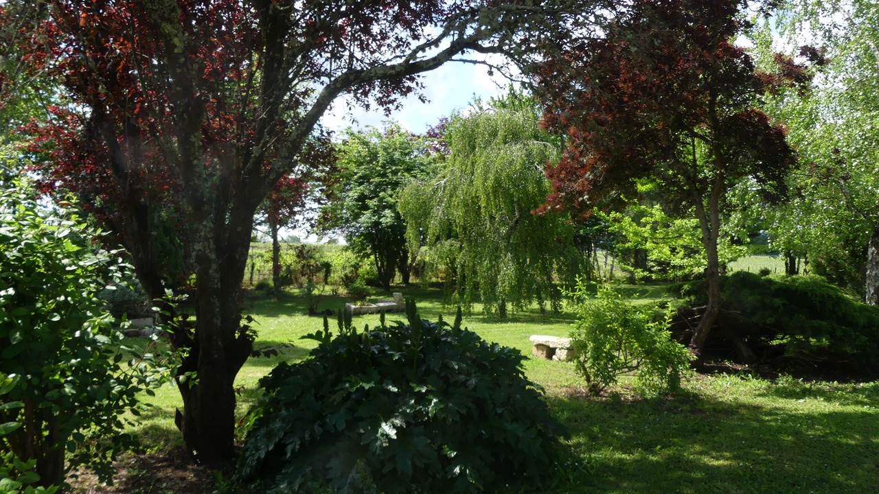 Photo of Outdoor in Bossugan