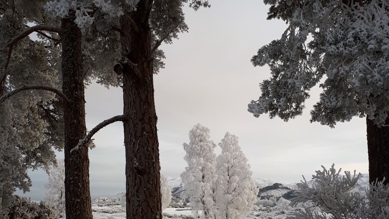 Photo of Others in Fort Augustus