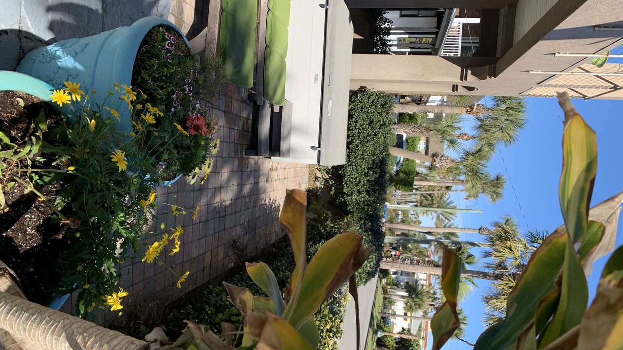 Photo of Outdoor in Neptune Beach
