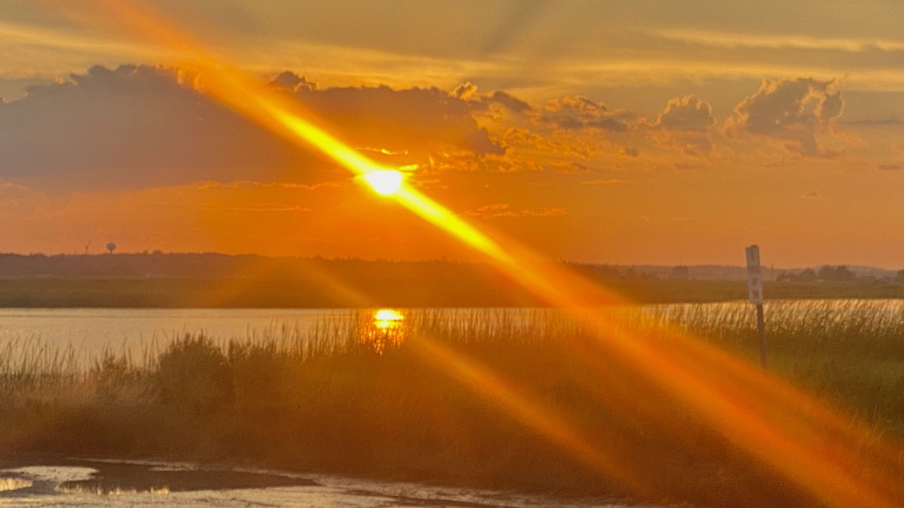 Photo of Others in Newbury