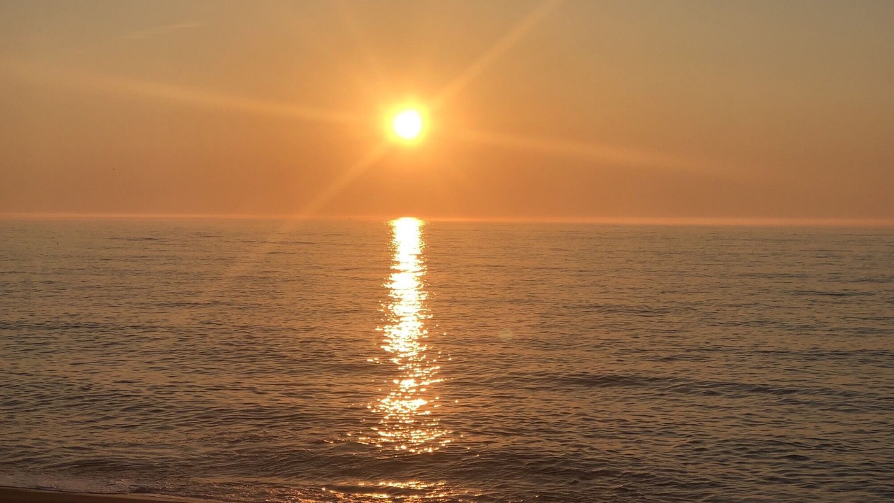 Photo of Others in Newbury