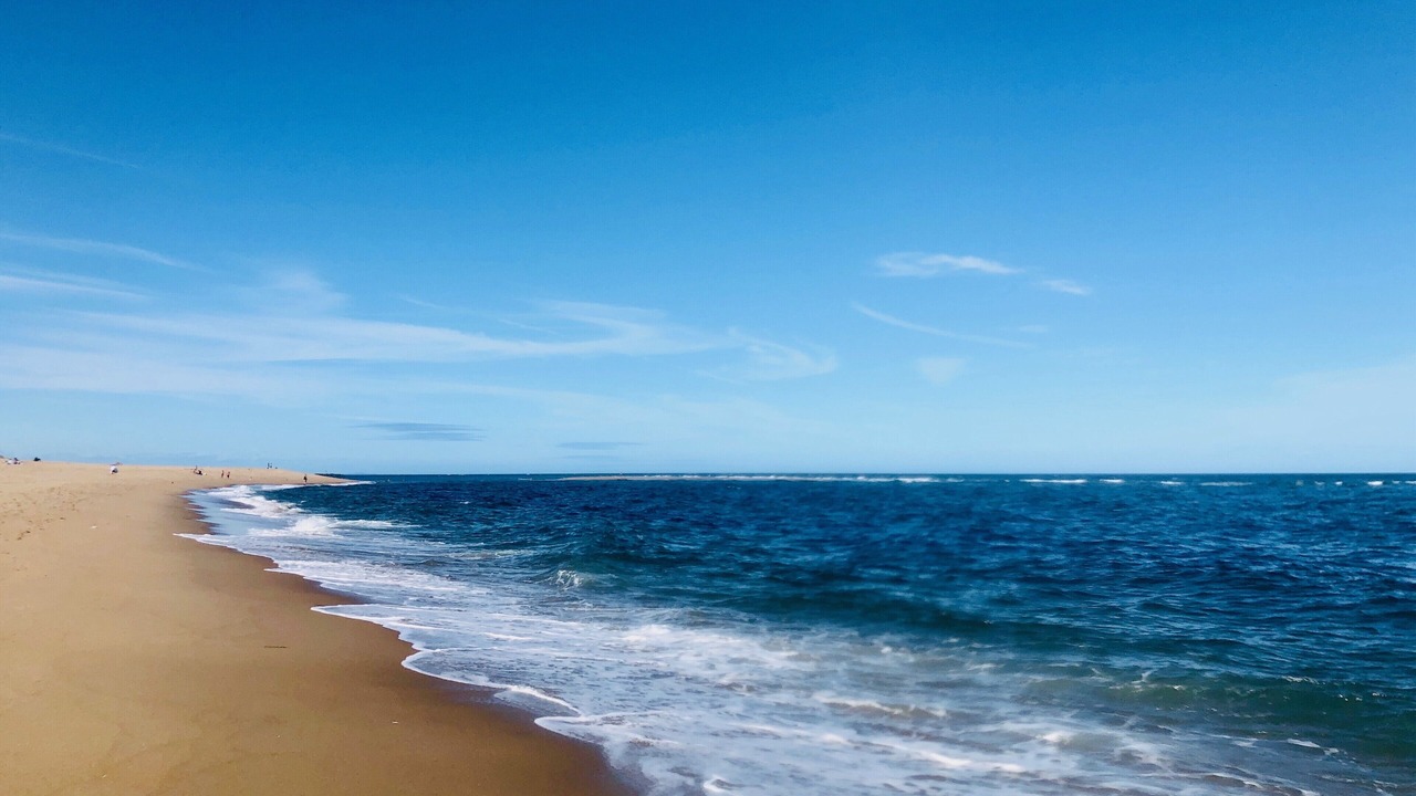 Photo of Others in Newbury