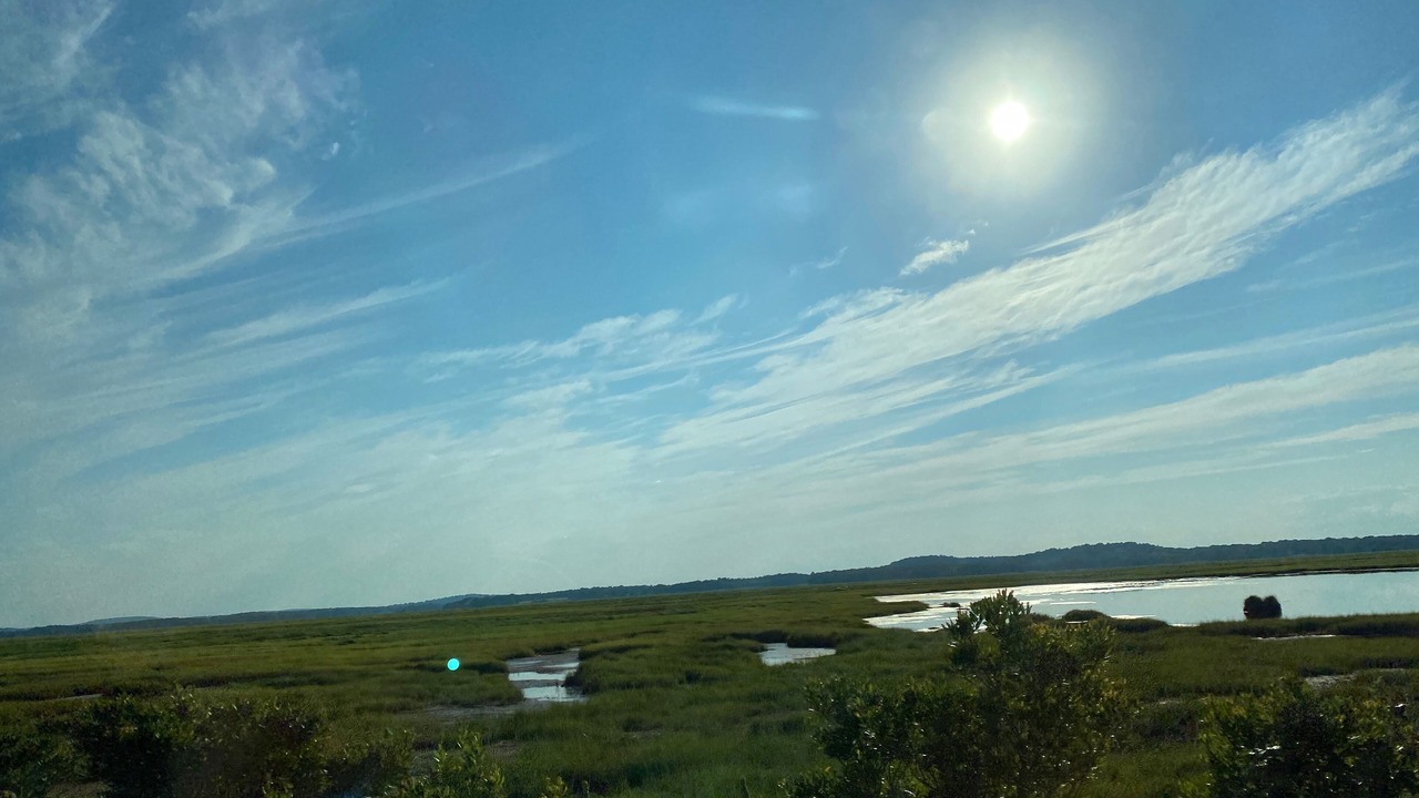 Photo of Others in Newbury