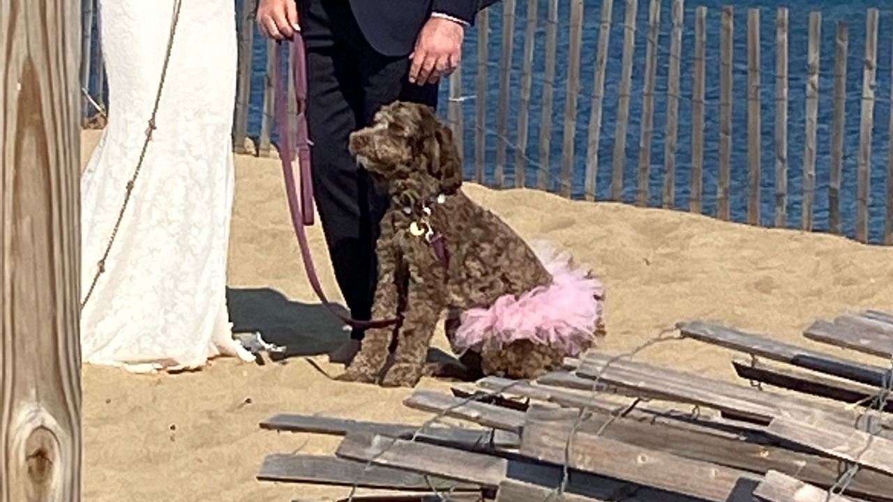 Photo of Others in Newbury