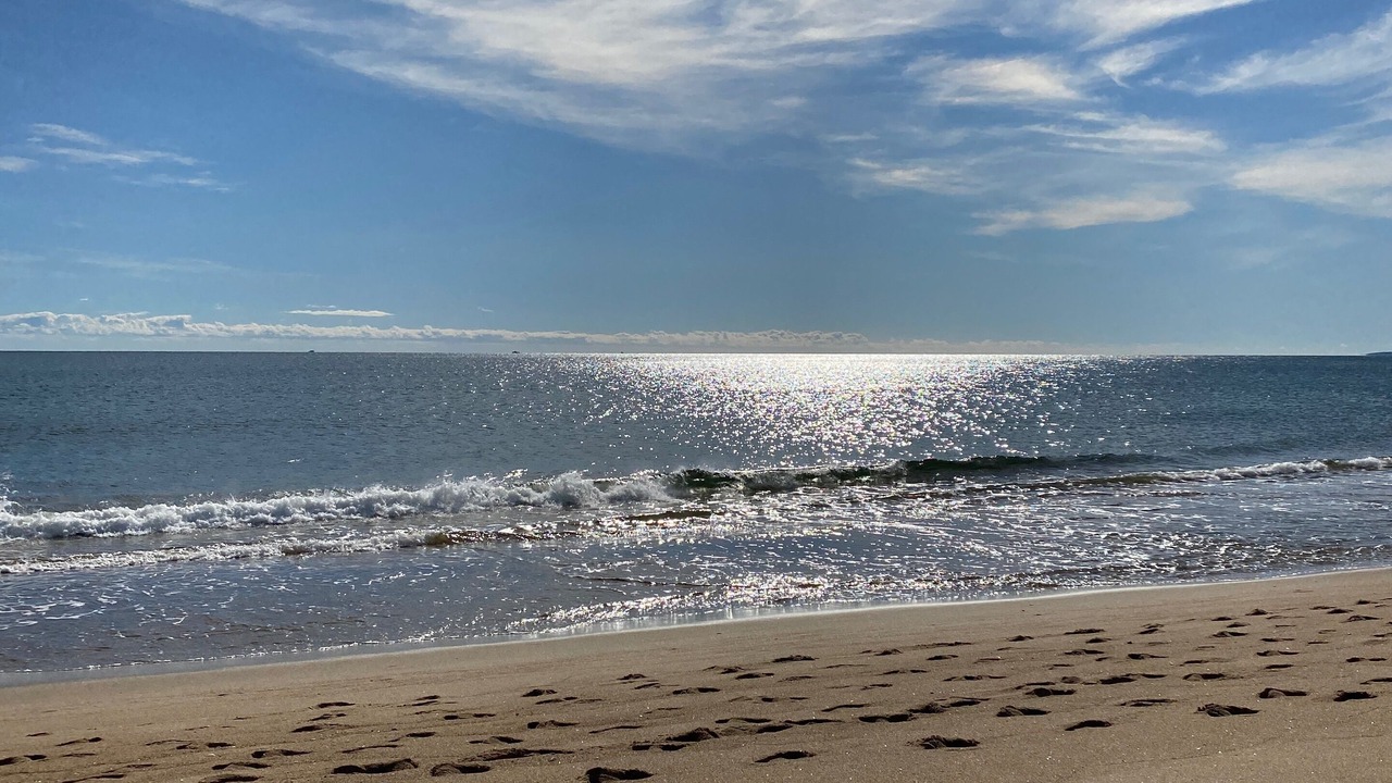 Photo of Others in Newbury