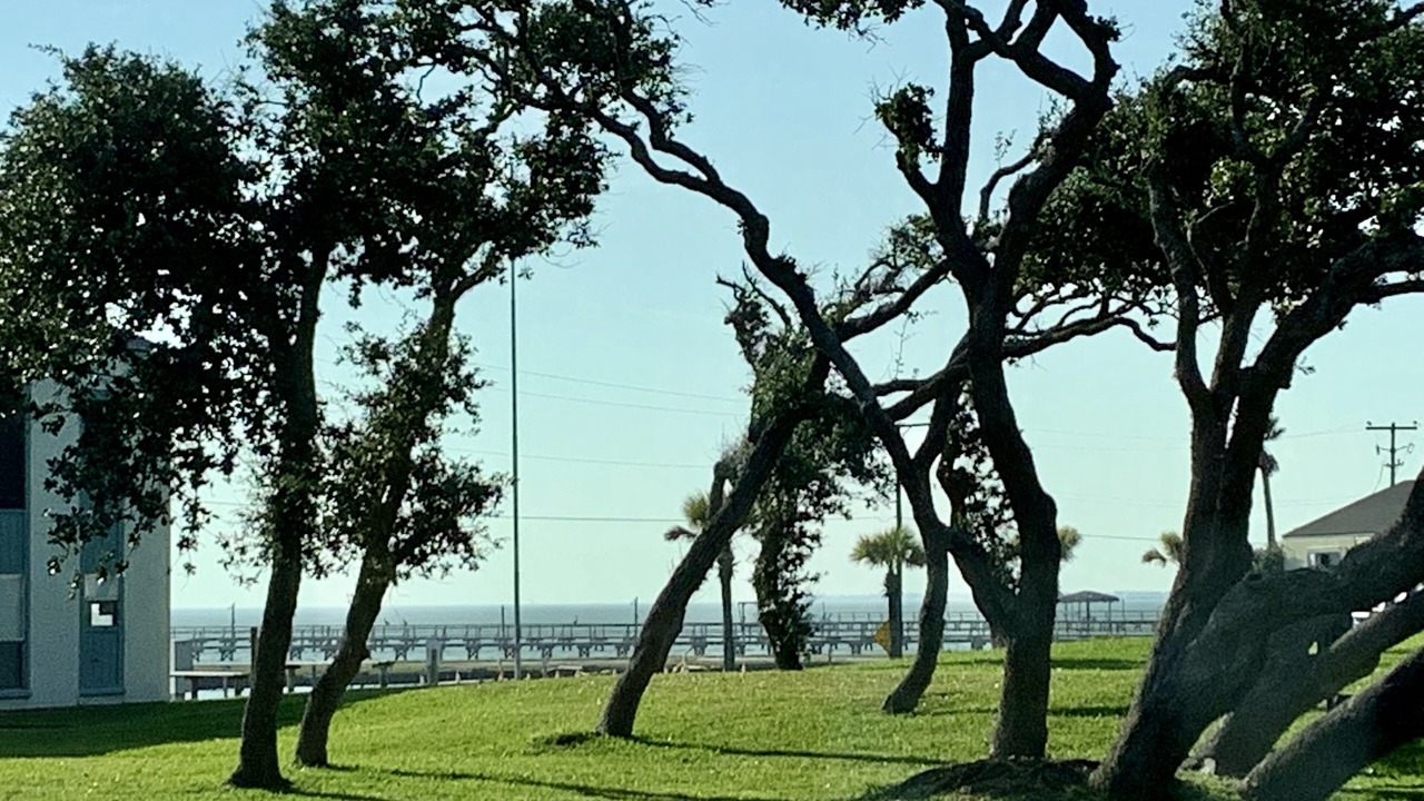 Photo of Others in Sailhouse