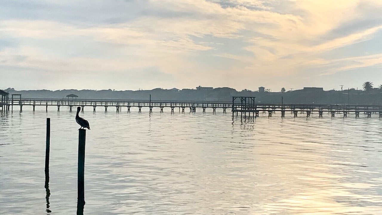 Photo of Others in Sailhouse