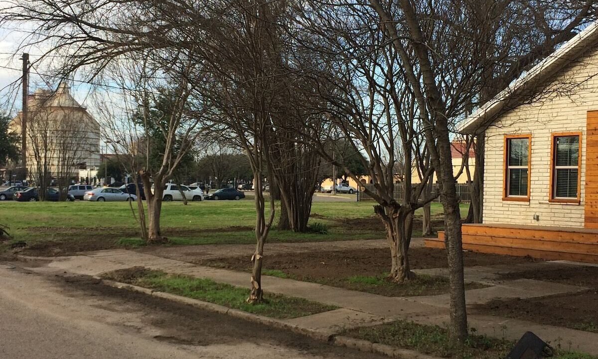 Photo of Others in Brazos