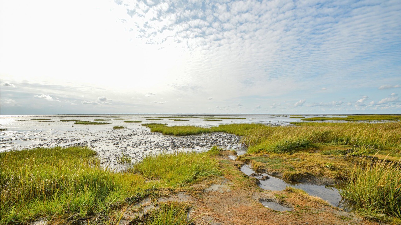 Photo of Others in Skaerbaek