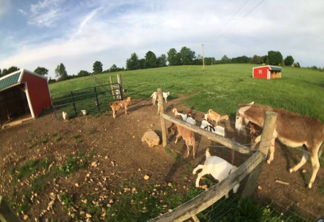 Photo of Outdoor in Halfway