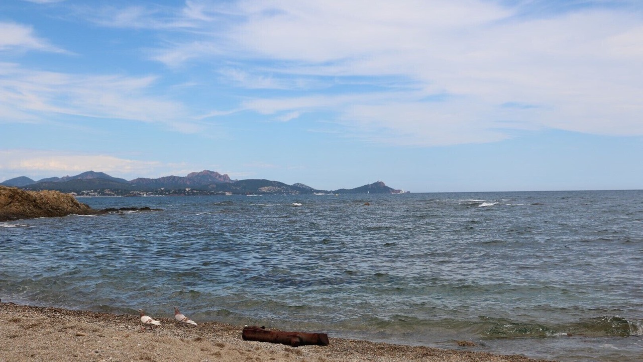 Photo of Others in Saint-Aygulf