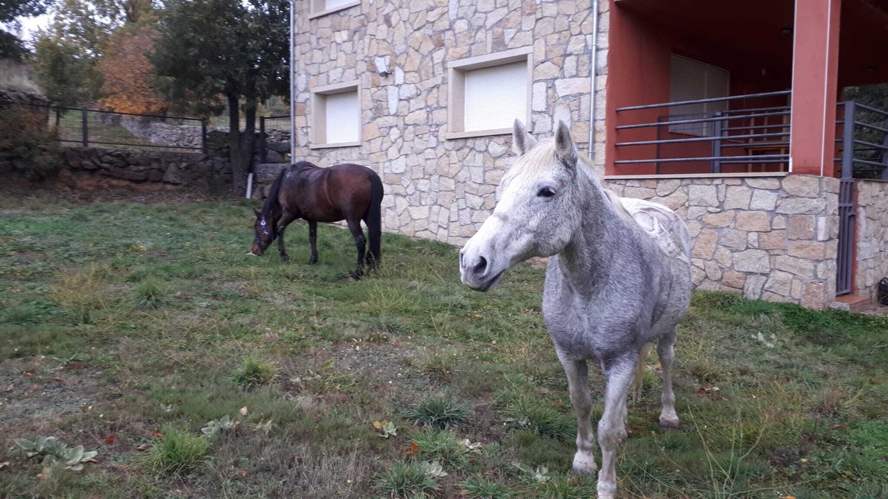 Photo of Outdoor in Avellaneda