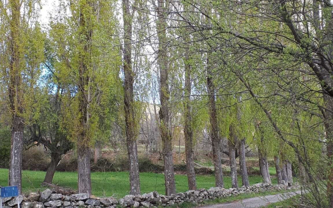 Photo of Outdoor in Avellaneda
