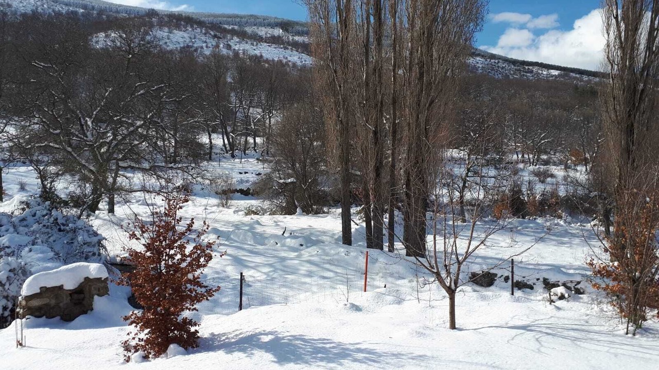Photo of Outdoor in Avellaneda