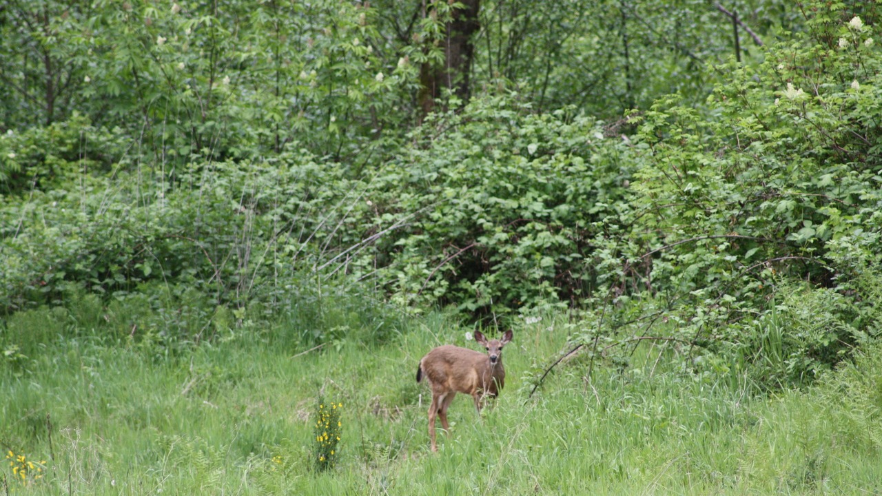 Photo of Others in Adna