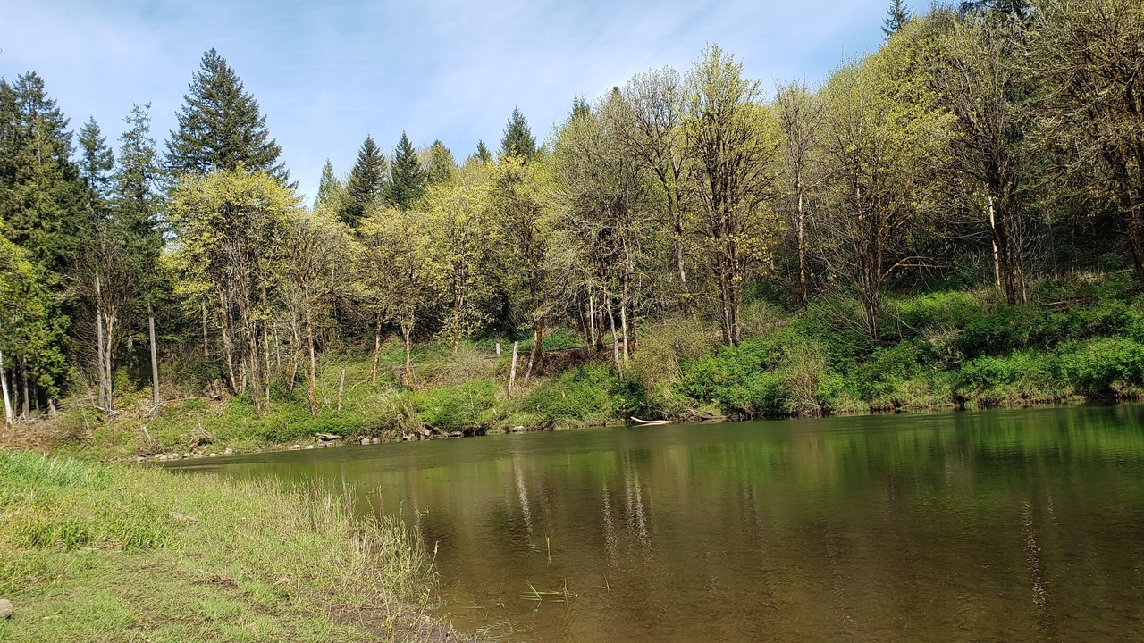 Photo of Others in Adna
