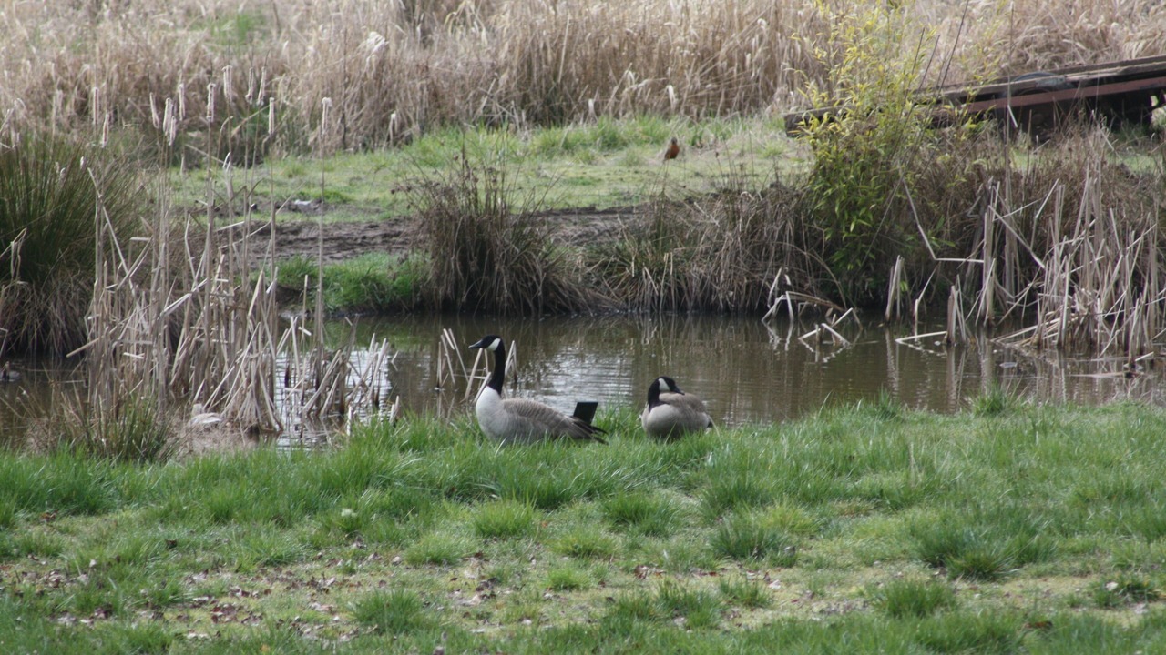 Photo of Others in Adna