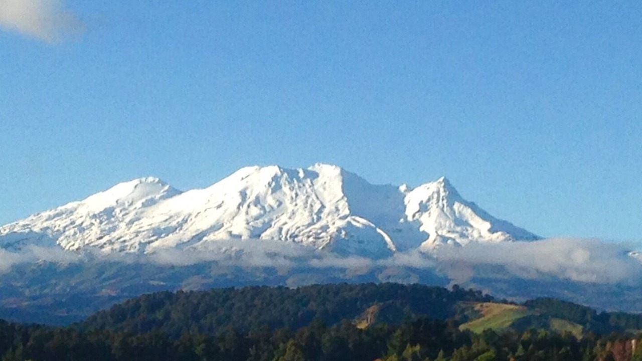 Photo of Others in Ohakune
