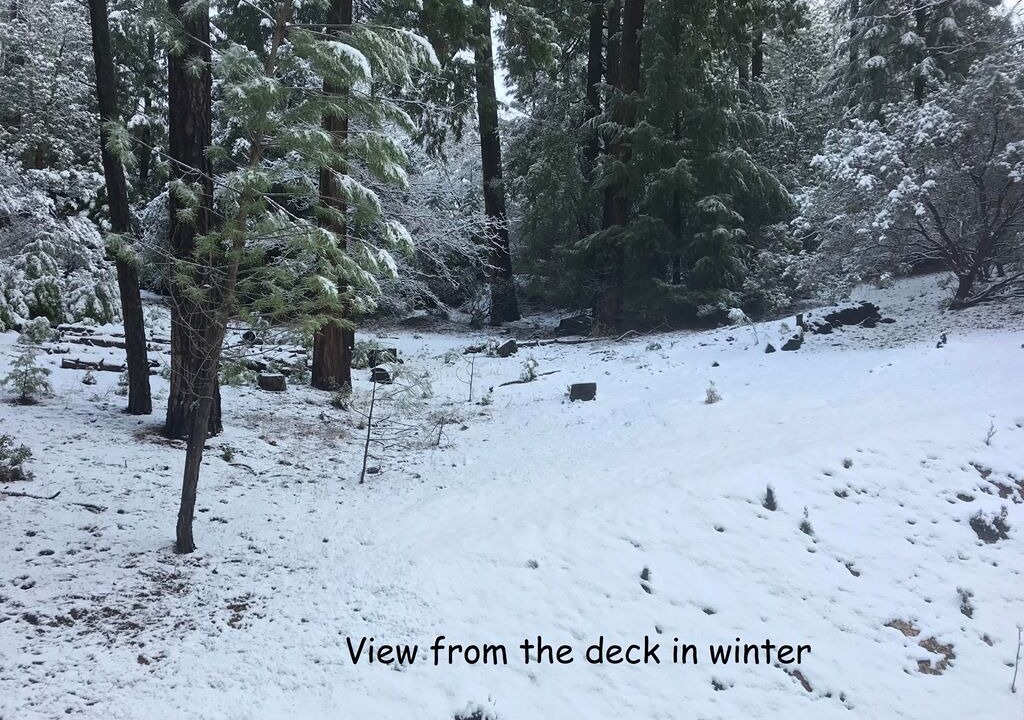 Photo of Outdoor in Foresthill