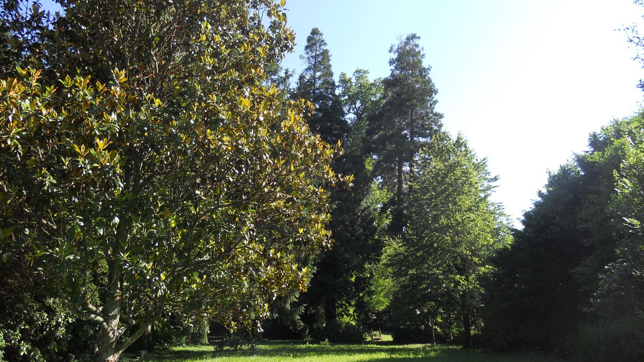 Photo of Outdoor in Vabre