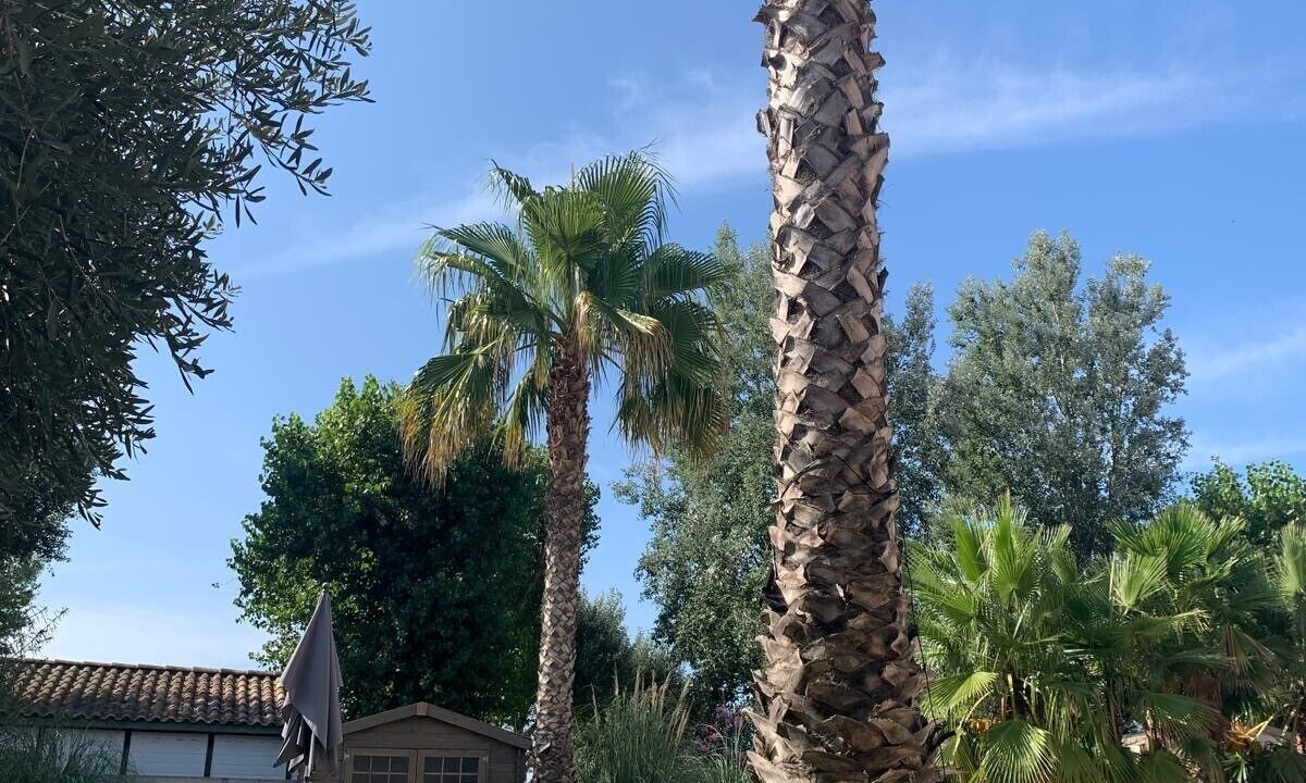 Photo of Outdoor in Le Grau-dʼAgde