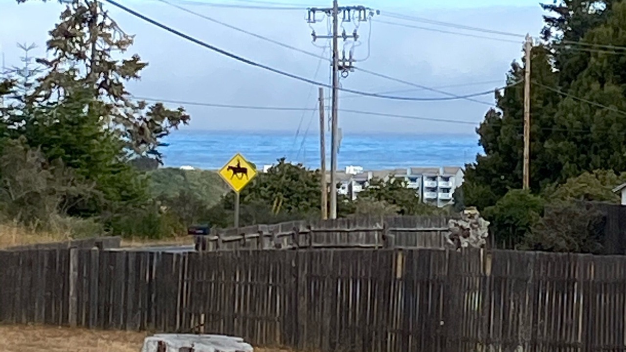 Photo of Others in Fort Bragg