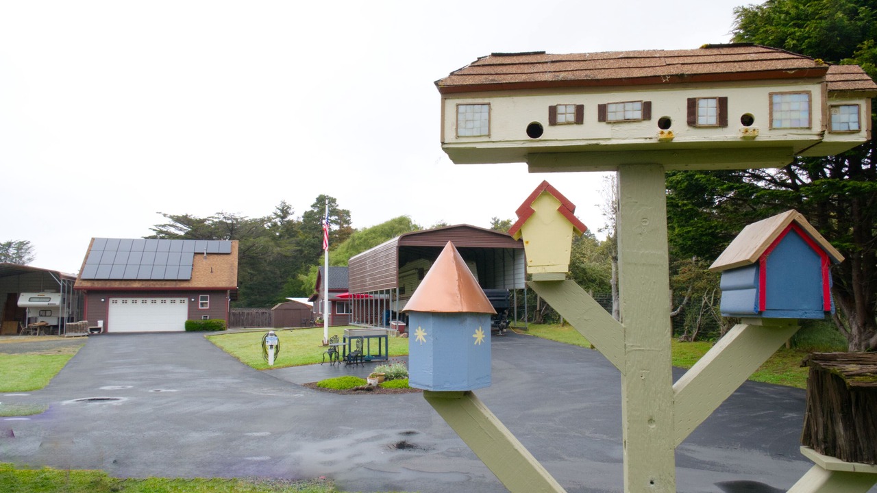 Photo of Outdoor in Fort Bragg