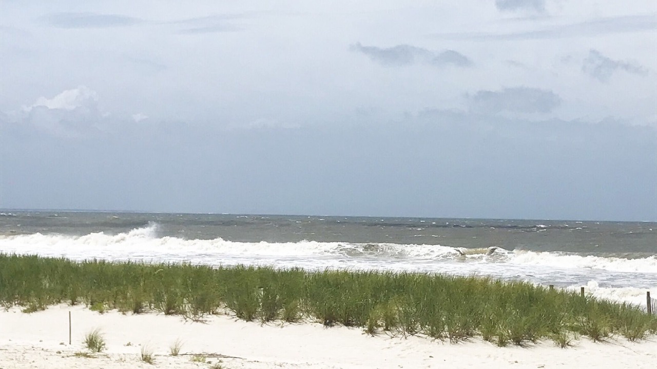 Photo of Others in Mexico Beach
