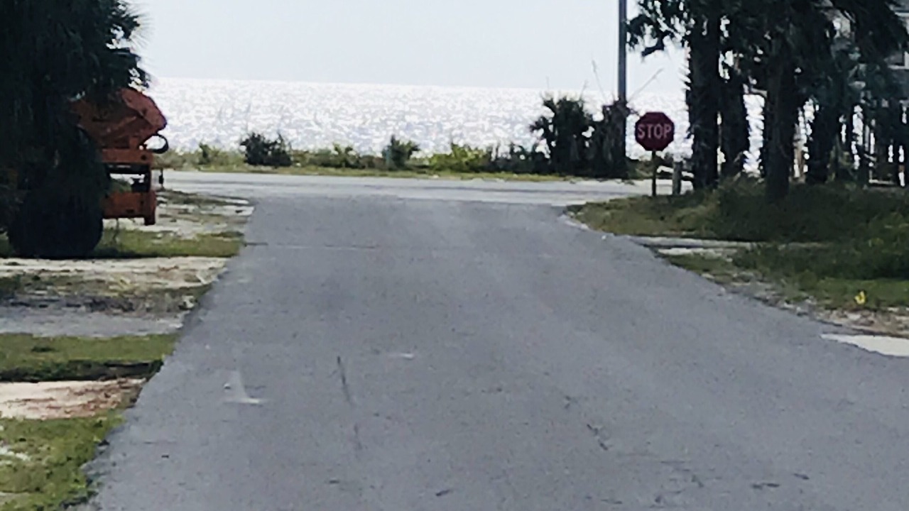 Photo of Others in Mexico Beach