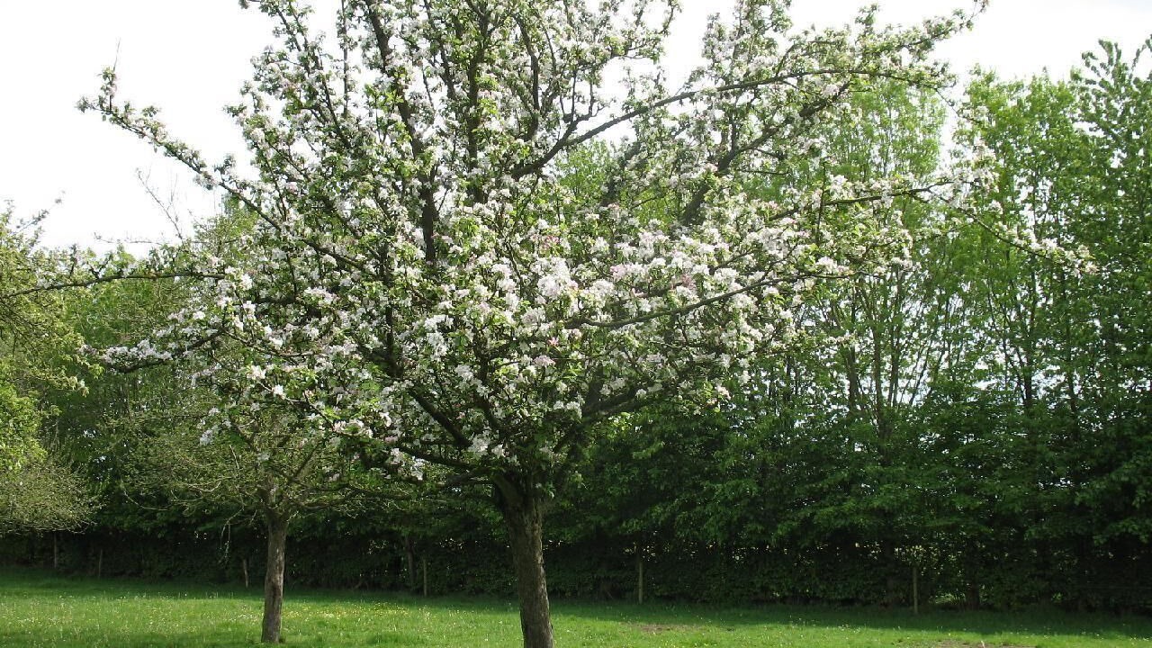 Photo of Outdoor in Varneville-Bretteville