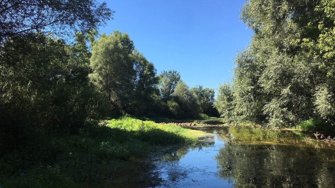 Photo of Others in Saint-Georges-sur-la-Pree