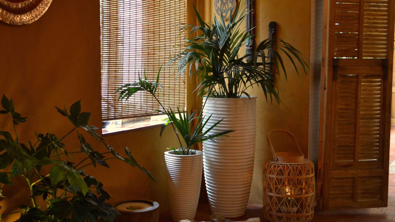 Photo of Others in Saint-Georges-sur-la-Pree