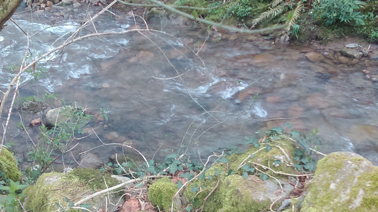 Photo of Outdoor in El Corral