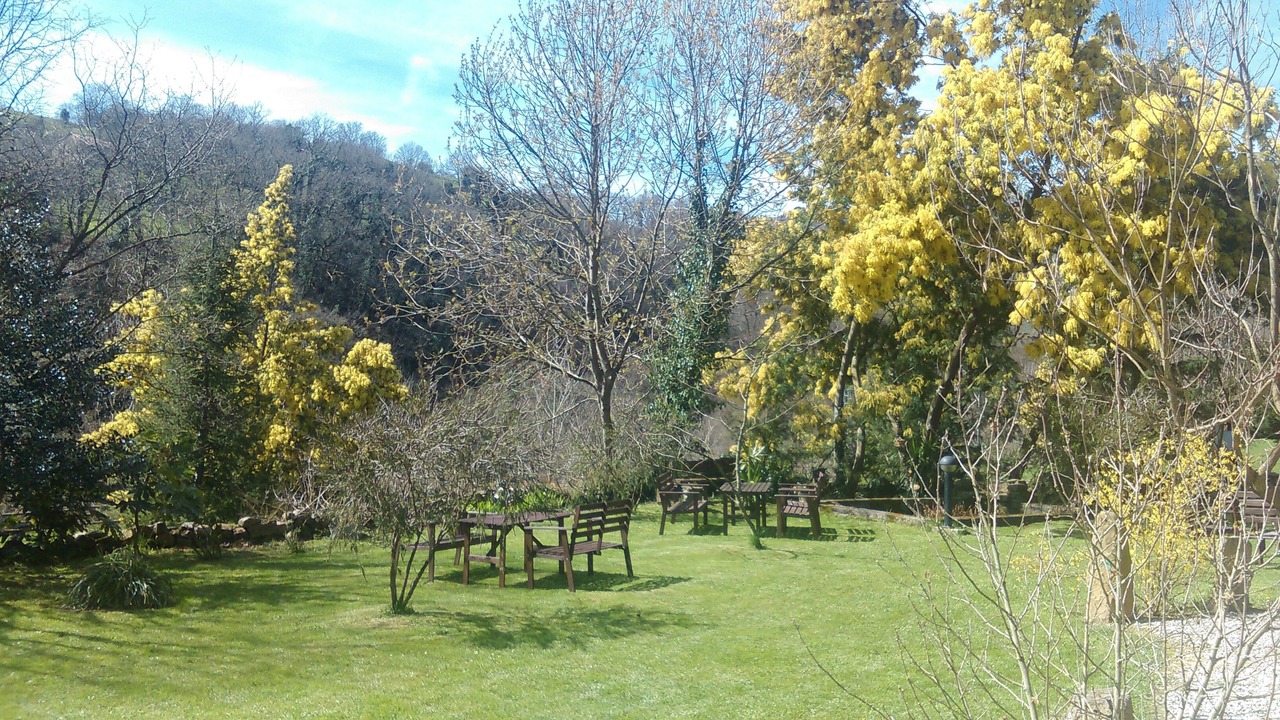 Photo of Outdoor in El Corral