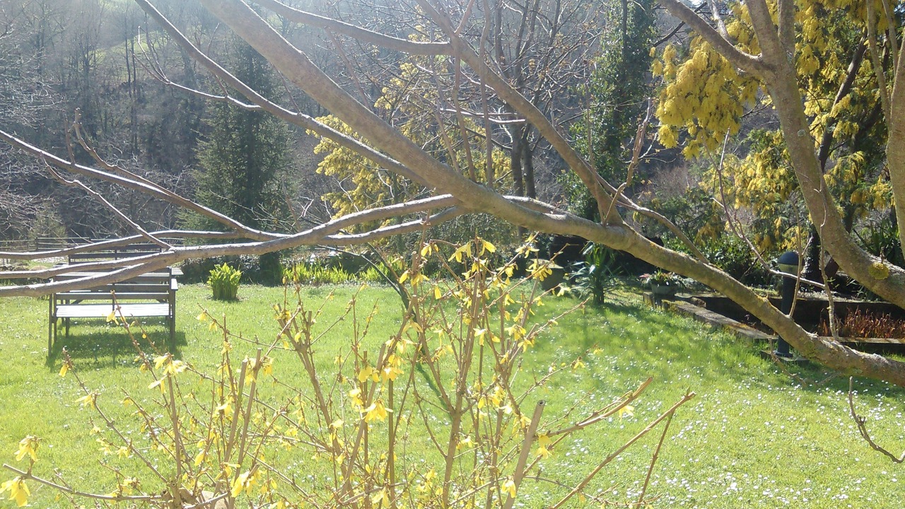 Photo of Outdoor in El Corral