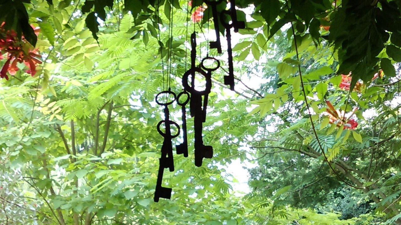 Photo of Outdoor in El Corral