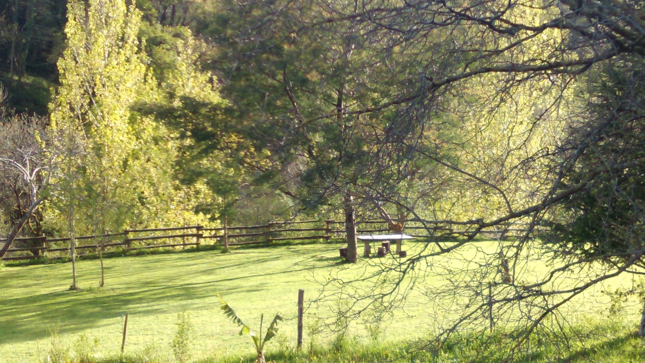 Photo of Outdoor in El Corral