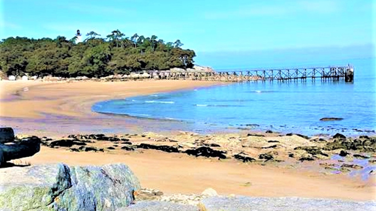 Photo of Others in Saint-Jean-de-Monts