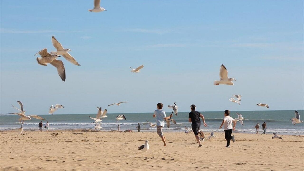 Photo of Others in Saint-Jean-de-Monts