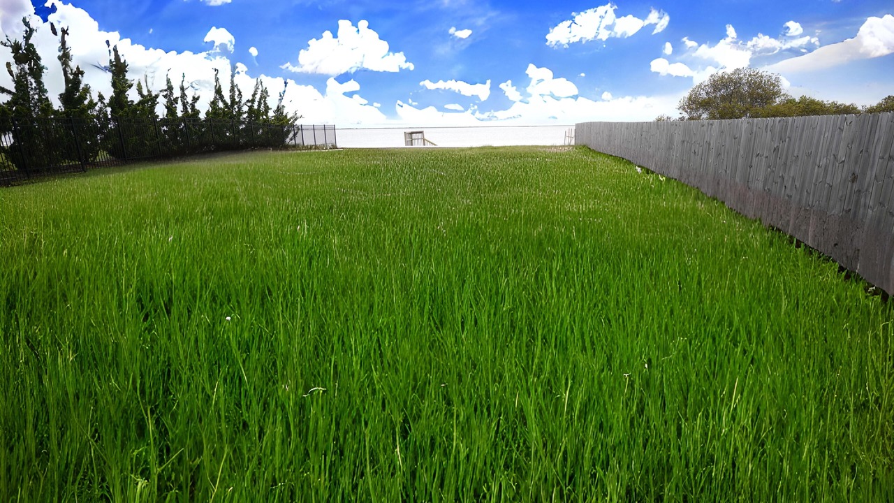 Photo of Outdoor in Center Moriches