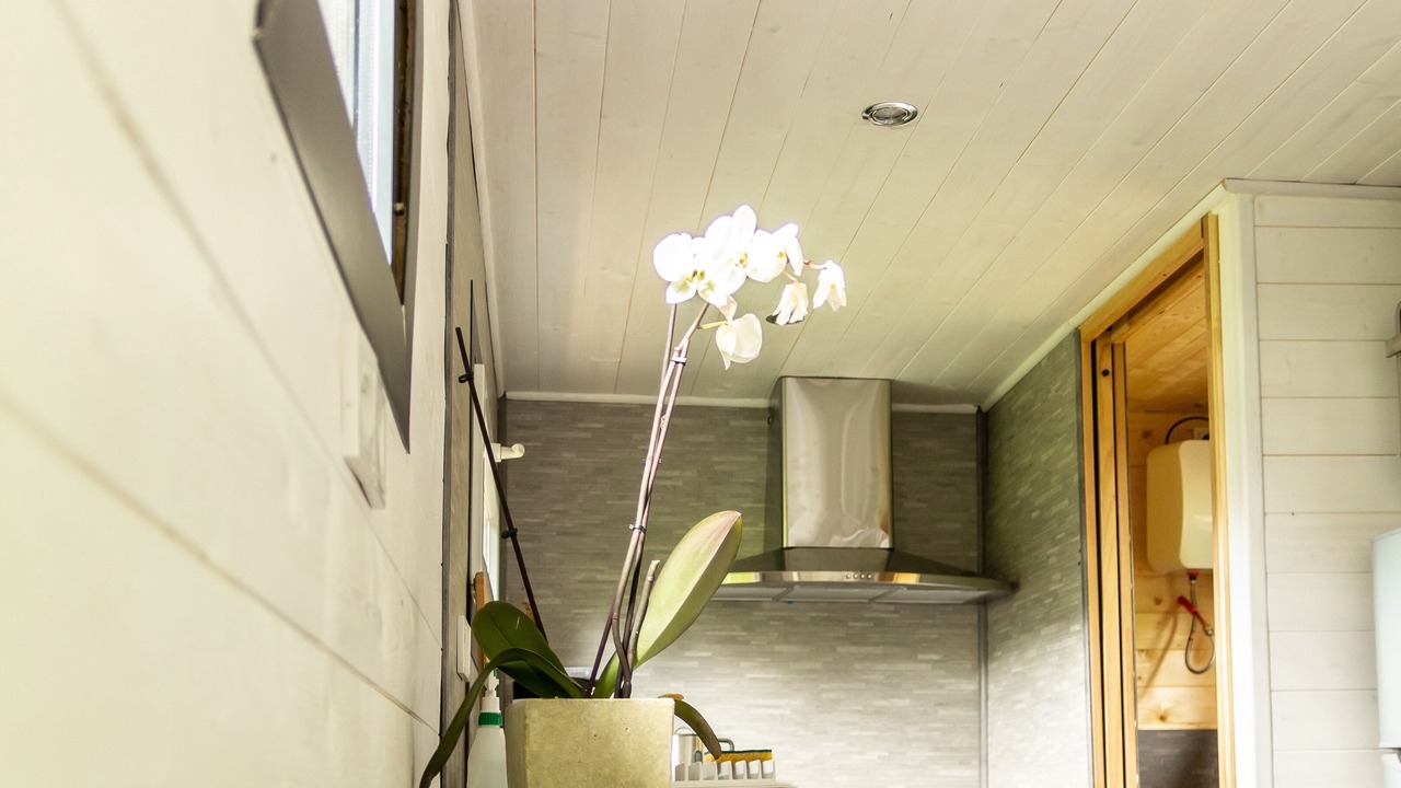 Photo of Others in Audinghen