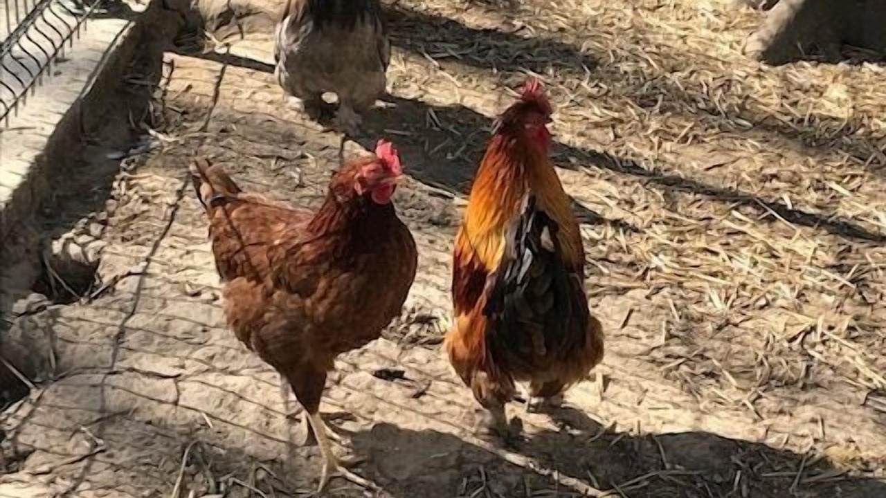 Photo of Others in Audinghen