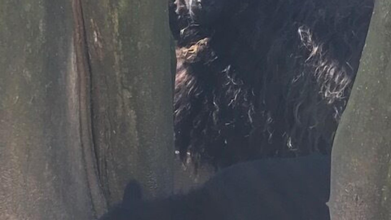 Photo of Others in Audinghen